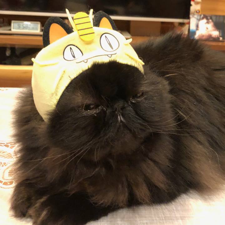 Ef02b539 775c 418b 93f1 d62deacc7b14 1548513675806