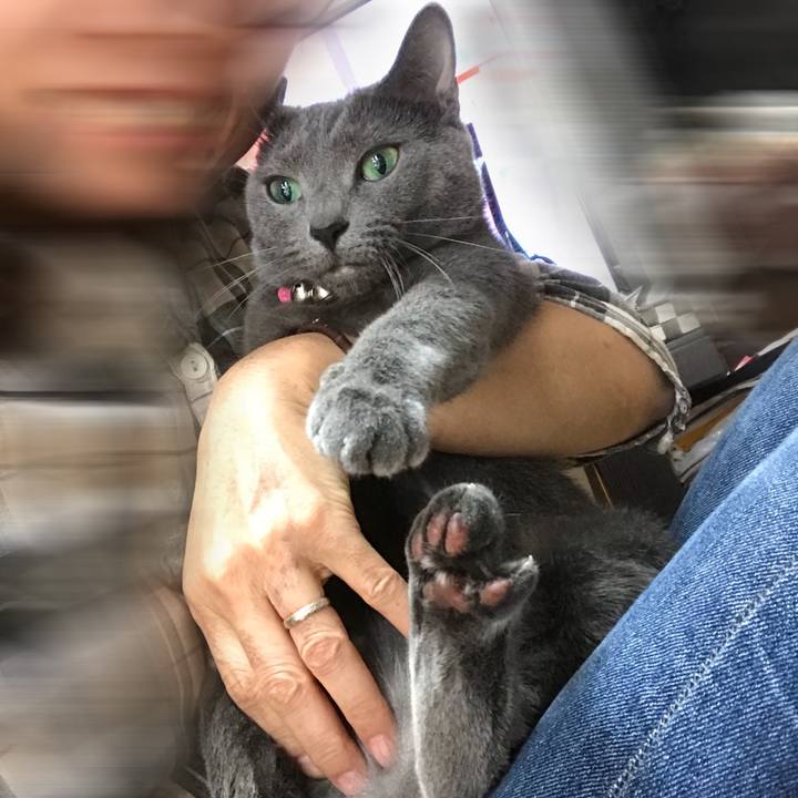 Ef03038e 48e5 410c b940 05b1bf178f74 1527816802990