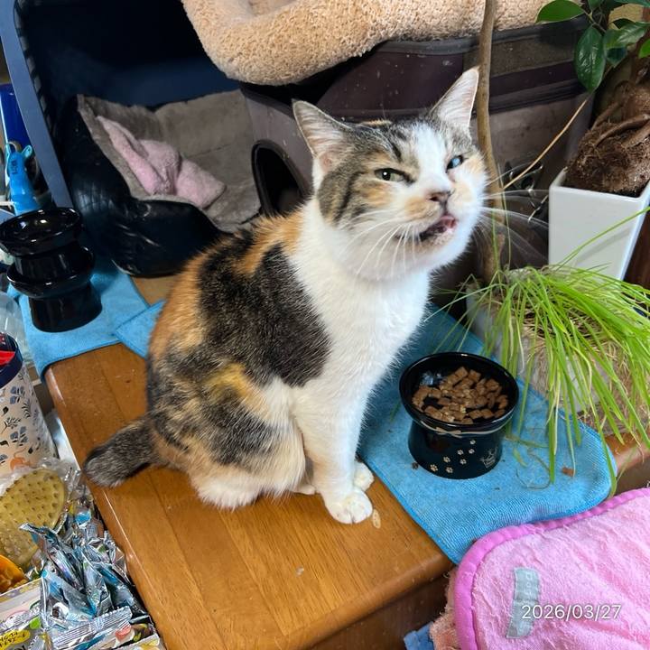 Ef0310e5 1635 444c b537 3f20b84e093d 1774562817514