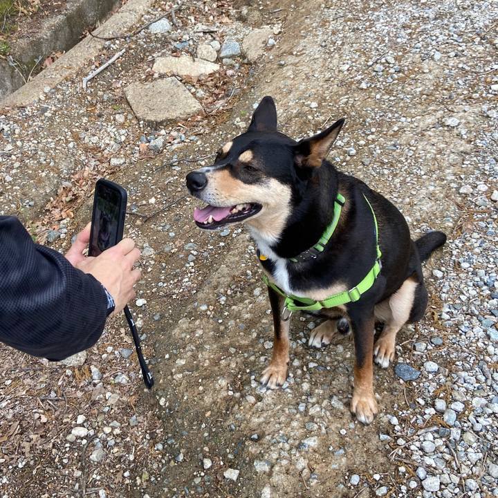 Ef032cd5 7591 44a1 b954 aa94d01718ac 1588671470891