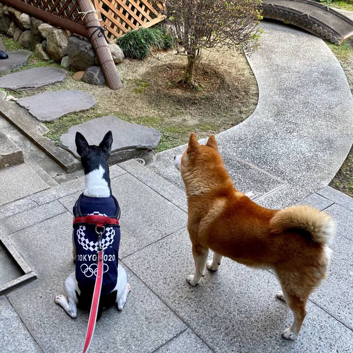 Ef036485 b35f 49f4 98c9 4922942d2eb4 1603597175566