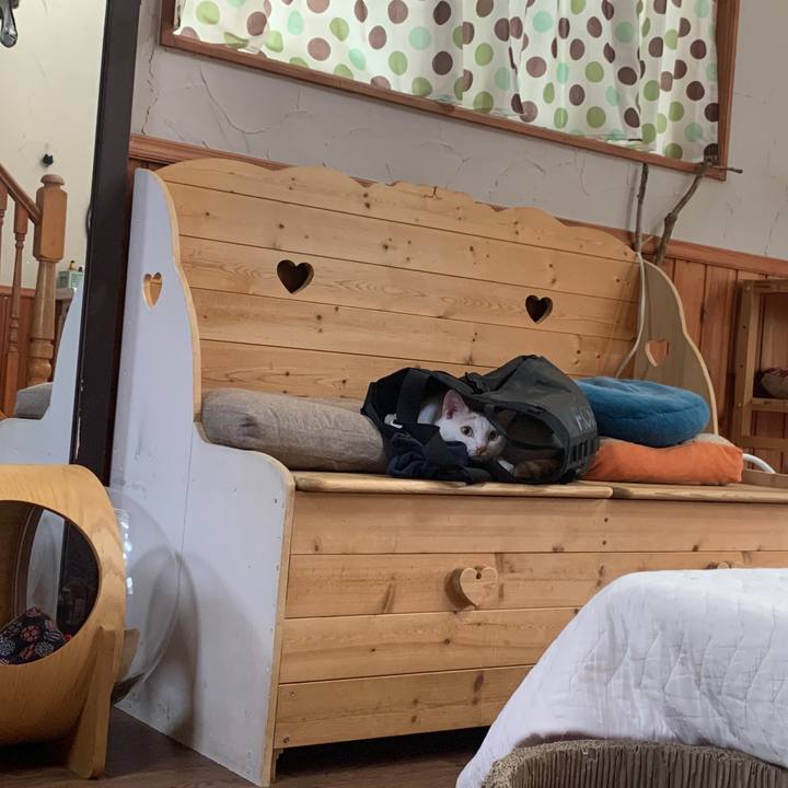 Ef036881 1620 4a81 9d99 d558859ff360 1656195393879