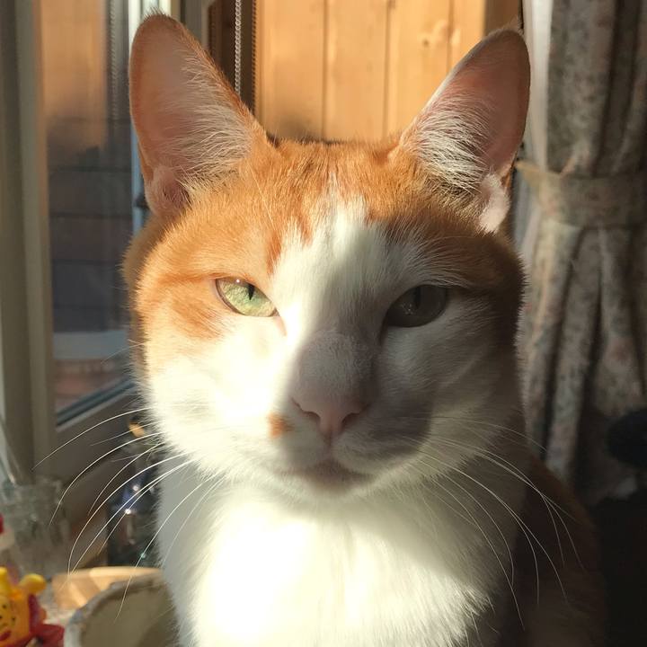 Ef037e88 bfc7 4b94 aee9 24eae88dca03 1590961988031