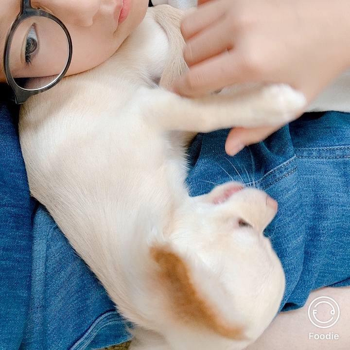 Ef038201 3be3 4743 a191 401b1516afaf 1595560150035