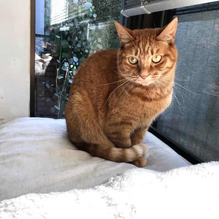 Ef03a178 dd8b 499e 9065 c86289f949e1 1515652726862