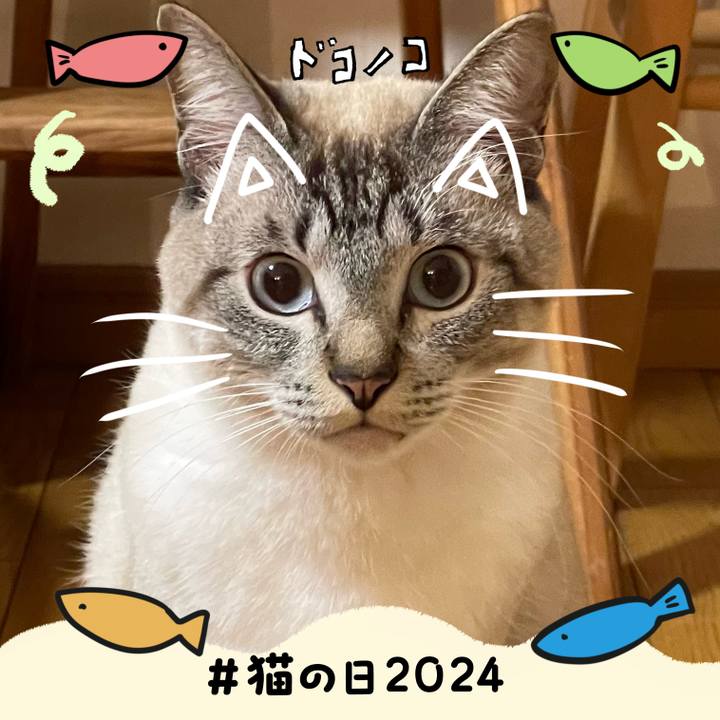 Ef03c5b4 4c9c 4c69 8f16 f210b86a399c 1708574228168