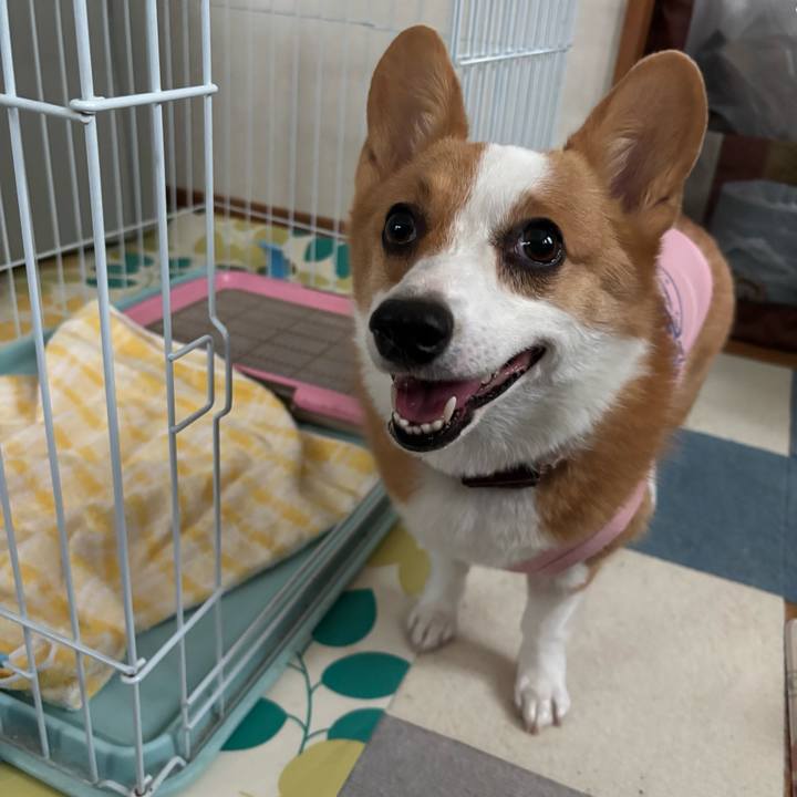 Ef03ce3e 7d3f 4b4f 9d6d 798e0471f2c1 1757034788585