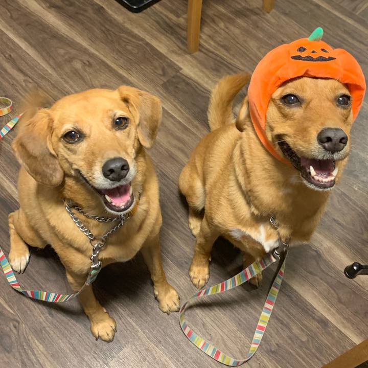 Ef03dedd dd84 4b92 bb20 e0f211442d98 1572472796150