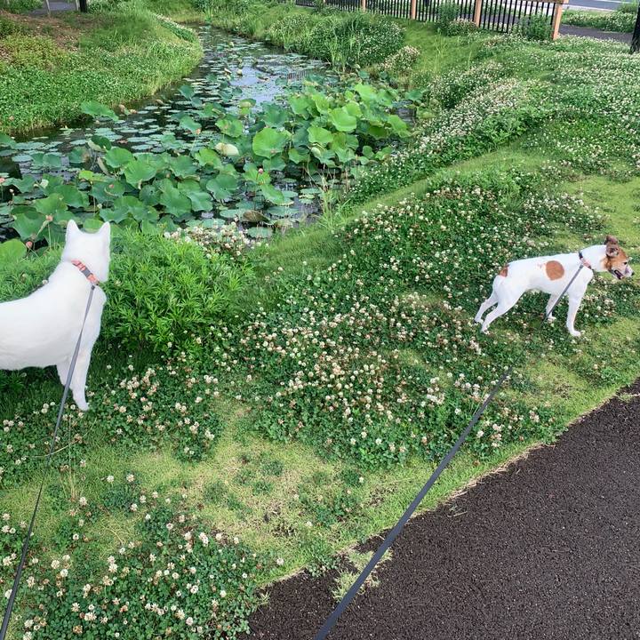 Ef03e5a6 3355 4e26 9937 d661eb66ef82 1560686375159