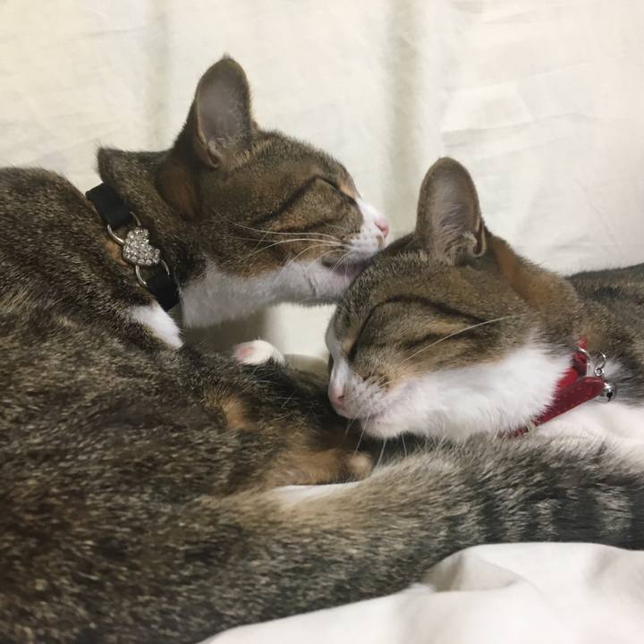 Ef045a6b fa72 4ca7 b7c4 c70e848a05dd 1674193042717