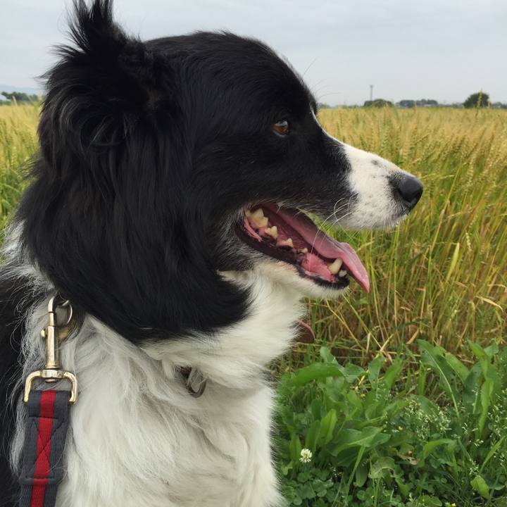 Ef04828c 2270 4fec a219 263d3fdbf963 1526424696895