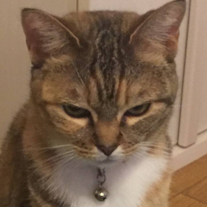 Ef04c3c5 11f7 42c6 891c 6ccc0fae0528 1552921837217