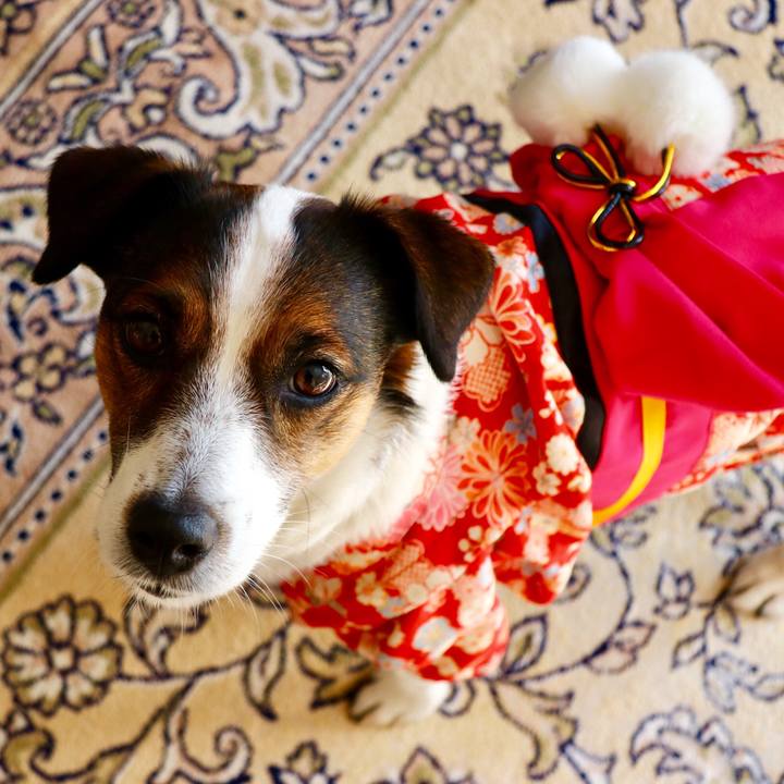 Ef04d470 08ed 4c56 b359 d42a535ce5ae 1546306261651