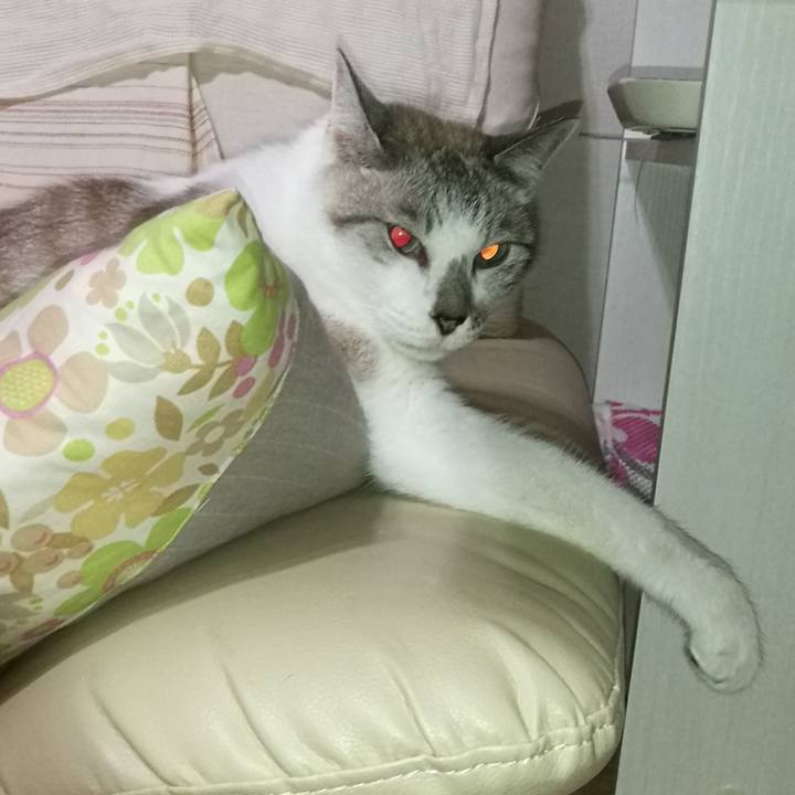 Ef04e9fa d4fd 4ff0 9aa4 f6d33c8d5e8d 1530269297553