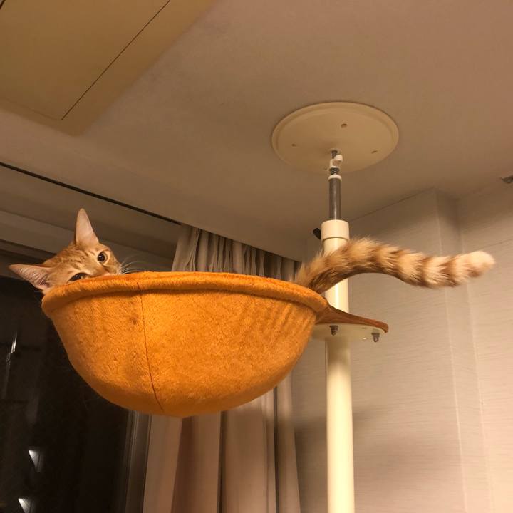 Ef04ef5e e1a6 4e2a 8623 1c55fd702e83 1637267758567