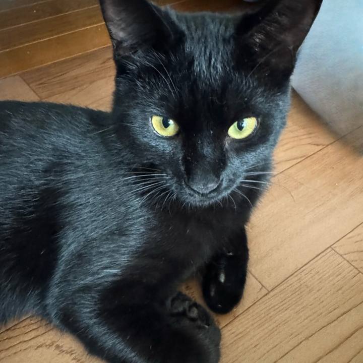 Ef0504b5 a4b9 4331 9770 399166f7f570 1735700806328