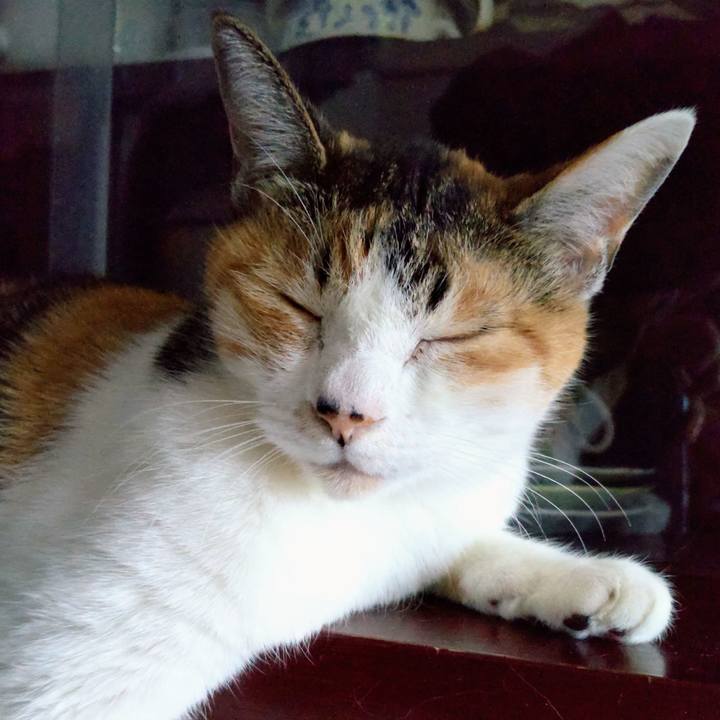 Ef05145e fbc2 496c a430 00e00d3f4a1f 1672376162618