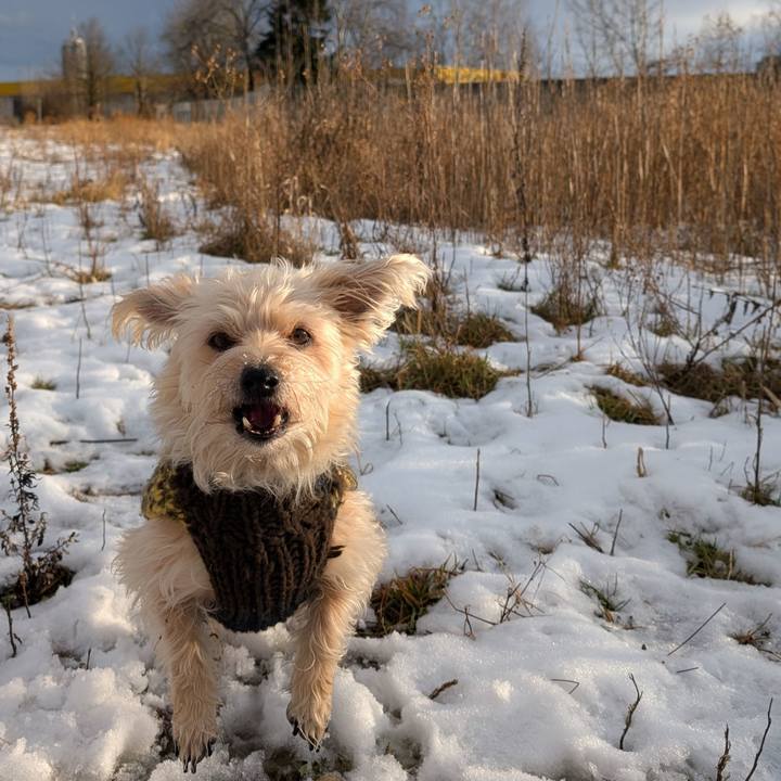 Ef051e24 6c56 4417 97f8 81f723e22ad5 1767968161228