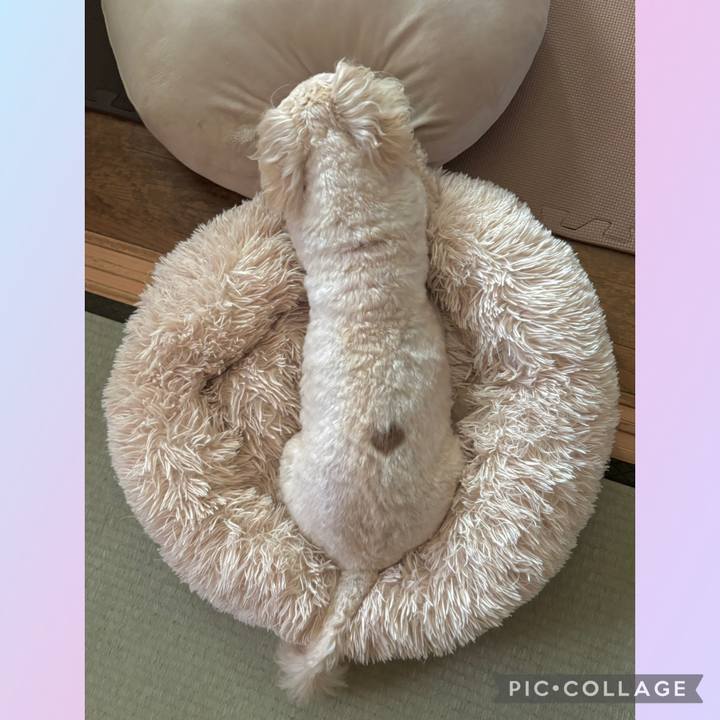 Ef05205a 8e1a 478a addf f3d5025c8249 1762050350951