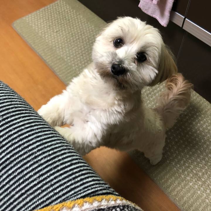 Ef052612 0730 4d4b 871d f900b5d43fb6 1510666625481