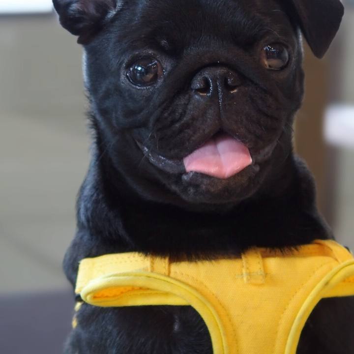 Ef05366a dd2b 4953 8b7a 75c48721a0ed 1602764072627