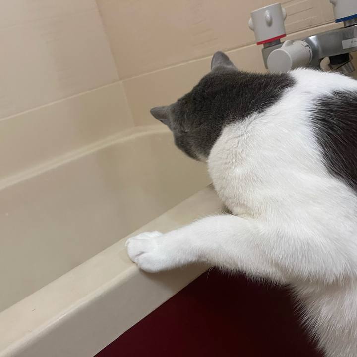 Ef054d90 106d 4dbd b064 86cba4d2c4e4 1635856330326