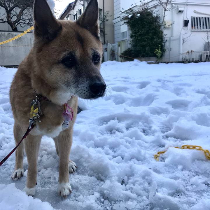 Ef056f60 54f9 4bcb b7a4 fba26762decf 1516746548049