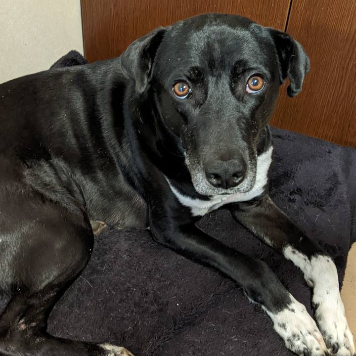 Ef058f04 ed87 40a2 8de8 561b277e02da 1648194607979