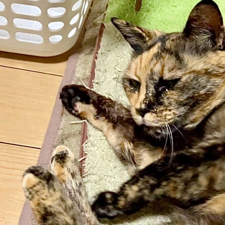 Ef05b7c7 c19d 4f67 8f24 a6e8dfb1e142 1743194131730