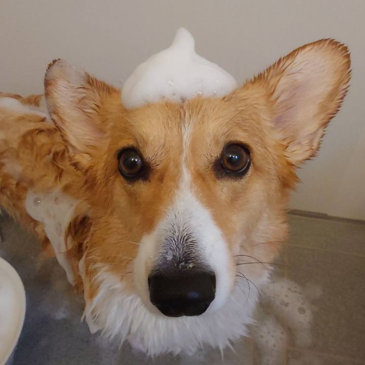 Ef05d34f 83db 4e13 9bfb e66d2e67ba40 1762158069088