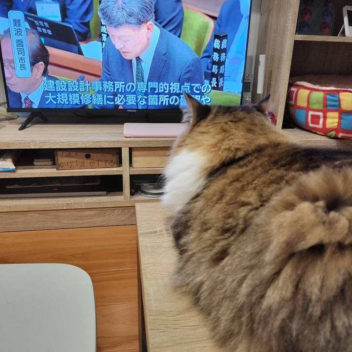 Ef05d75a 66a9 4e99 ba8a bb6eb7fa5610 1764580867558