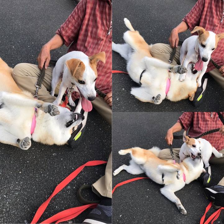 Ef05df6a d539 4620 974c 29a66c1cae62 1562672107002