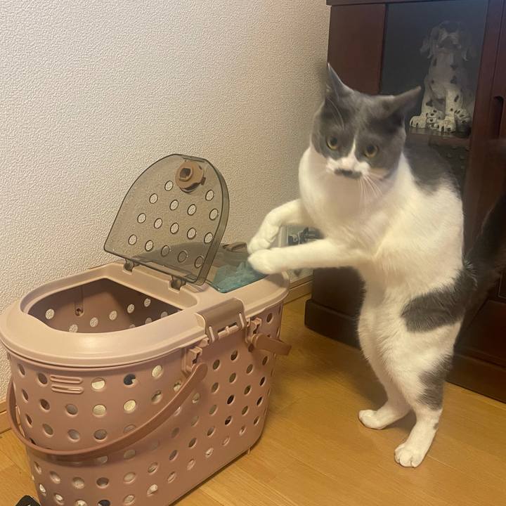 Ef05f579 2a39 468f bec1 5bdd4ce94c3f 1629291415410