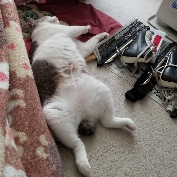 Ef06026d c182 4e0f a20b 9a5492bc5cc4 1549434713979