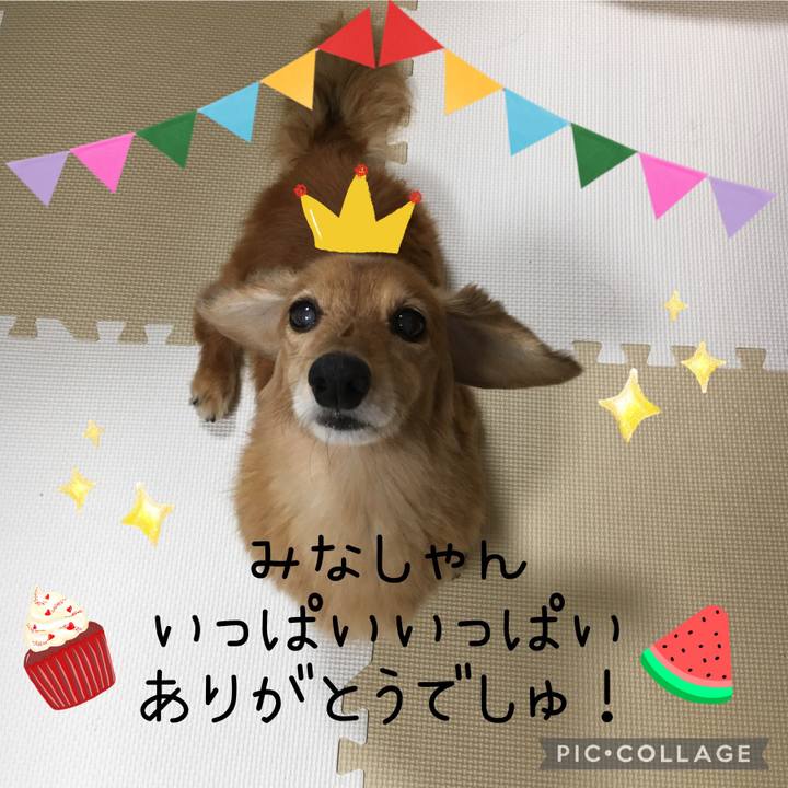 Ef060f0d b88e 4765 aef6 993eb628dc0d 1627308635522