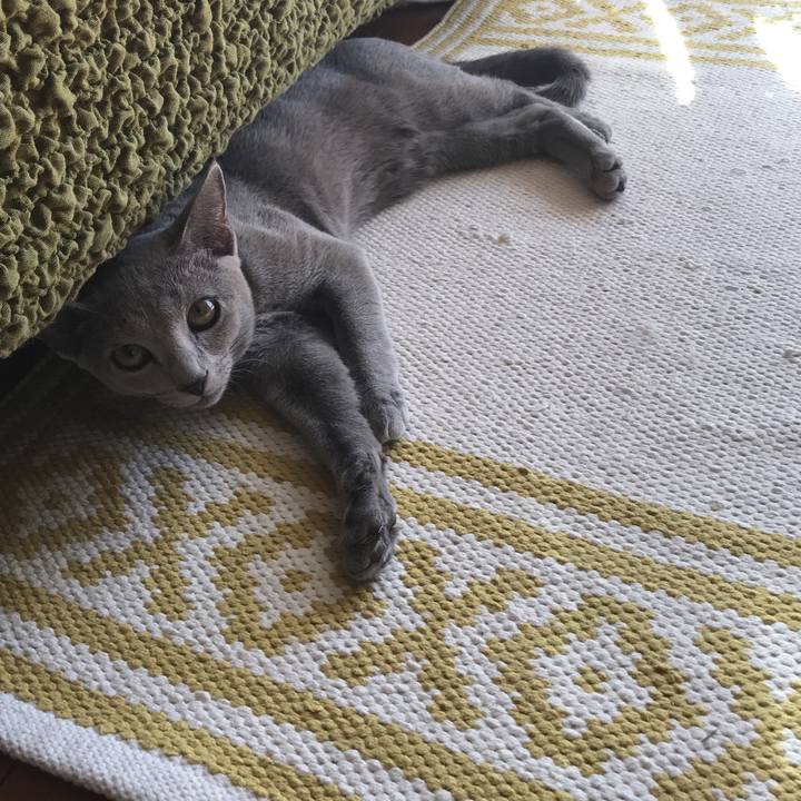 Ef063eba f89a 4f7a 9e92 debc07752ed0 1510454651371