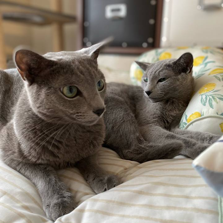 Ef064c9f d79d 4e30 a6d8 97ad276259df 1663330727085