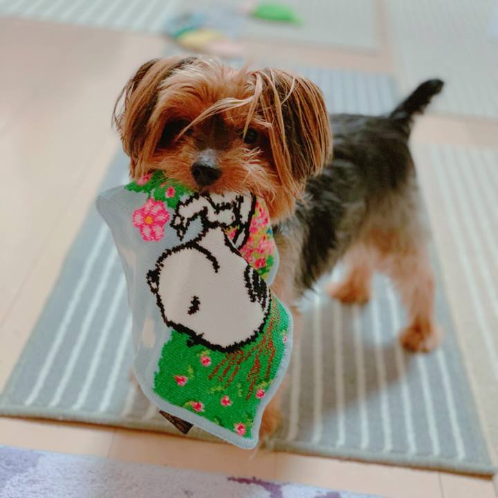 Ef0657af 62b4 4e1b bf84 9fa15b955a05 1592519252603