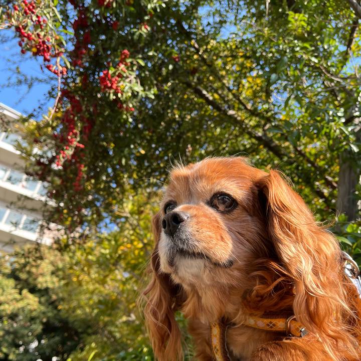 Ef06e4e5 e29b 4b2a a449 678845890e06 1774572697711