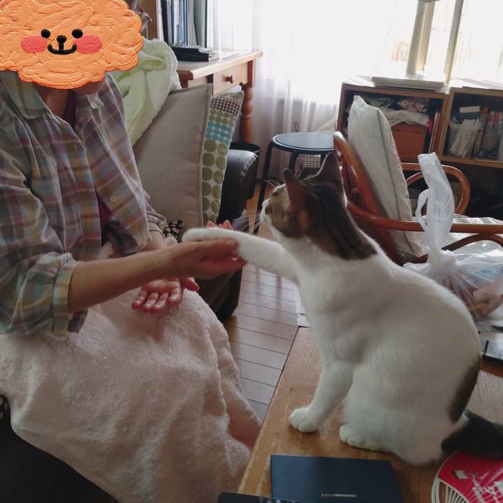 Ef07025a 7bfa 41ad 8bee b05ee2645e14 1690098111751