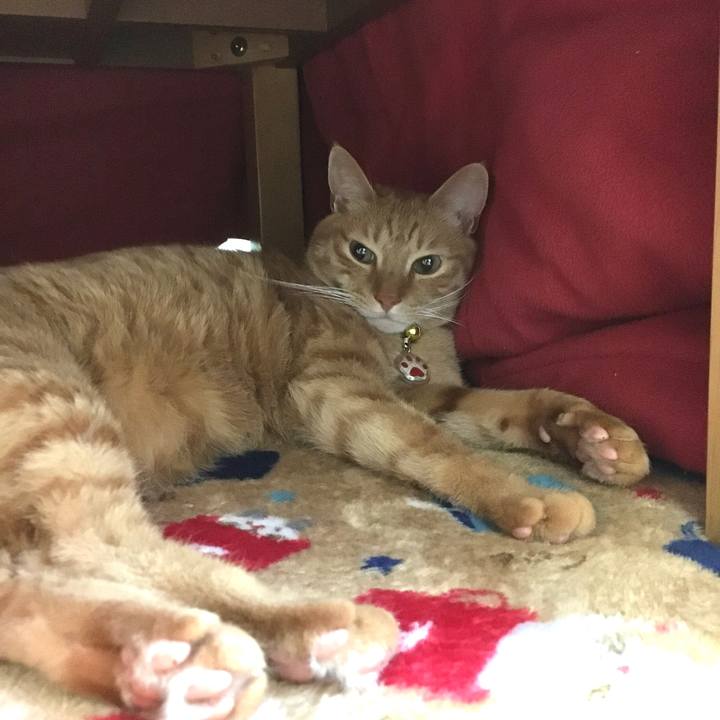 Ef076d9f 5078 4867 98e8 b7aa1747abbc 1576941093800