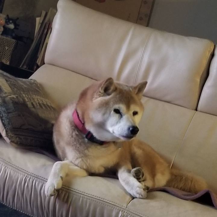 Ef077258 773e 49e7 91de aa6f8d22793f 1740646656073