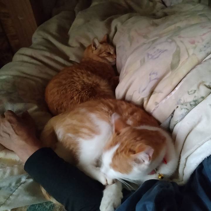 Ef07772b 2895 464b 81d6 c1ff5902a116 1748817010326