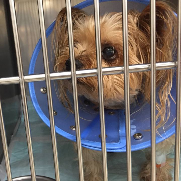 Ef078069 0363 4c8b bb3b dd37b3b9fe98 1531541147938