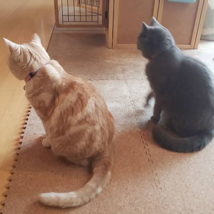 Ef07b211 0cba 4689 8aa4 e81a6a178eb7 1553587267751