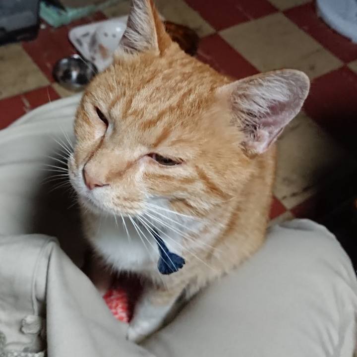 Ef07bd83 8c17 4233 8378 631b39b84711 1567712653068