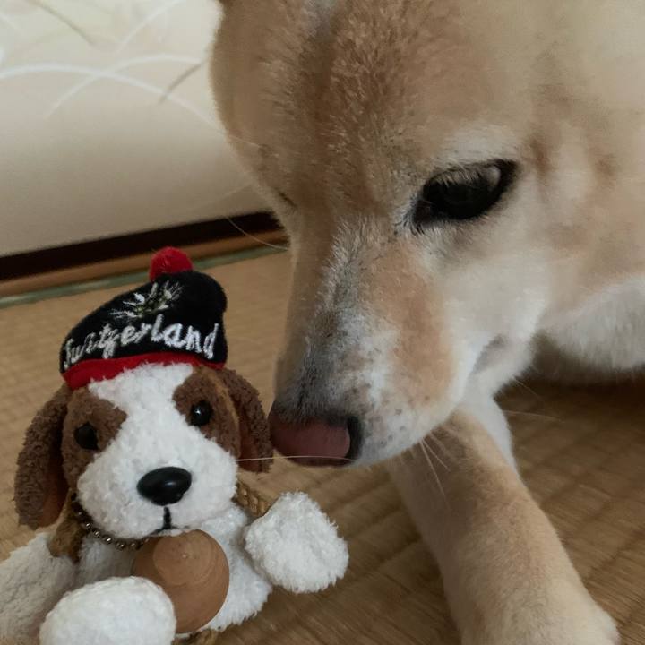 Ef08144c 8cae 4eaa 9a21 c7097bd93a06 1656974303557