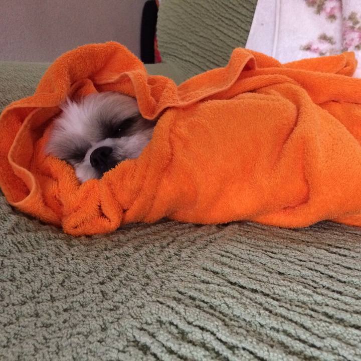 Ef082bc8 f890 4802 b594 44042e8350d8 1510109937382