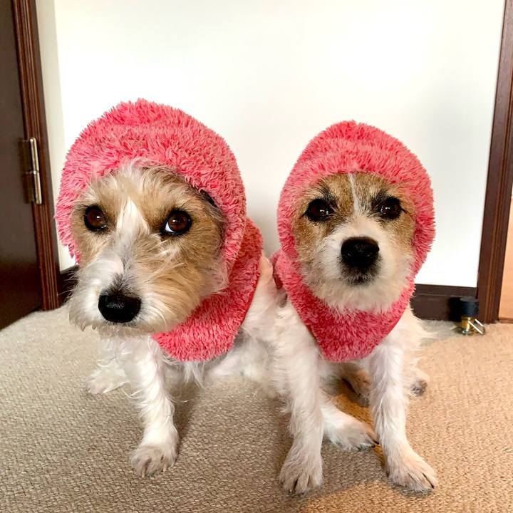 Ef08829c 8e35 451f 934c 010212bb2ce2 1769170397697