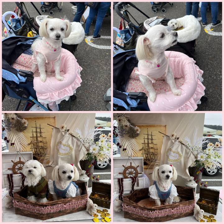 Ef08d77e 9196 403d 9578 5766c1772b33 1679383399013